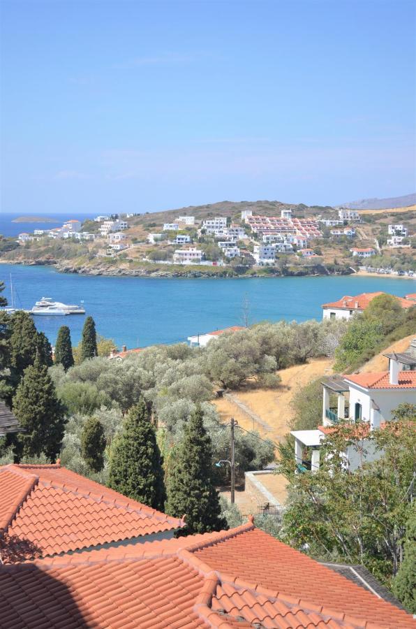 Apartment Afroditi's Terrace View Batsi (Andros)